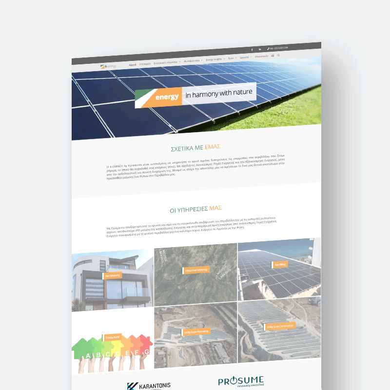 Website development