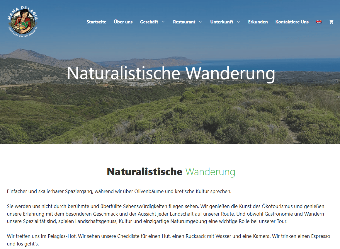 WPML website WPML website